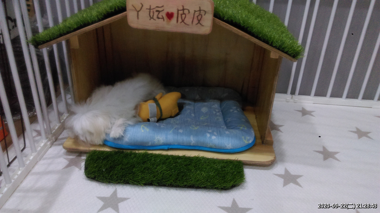 //3wa.tw/photo/small.php?w_size=1280&compassion=95&file_name=users/shadow/1600783921_2.jpg&noshow=1&height=400