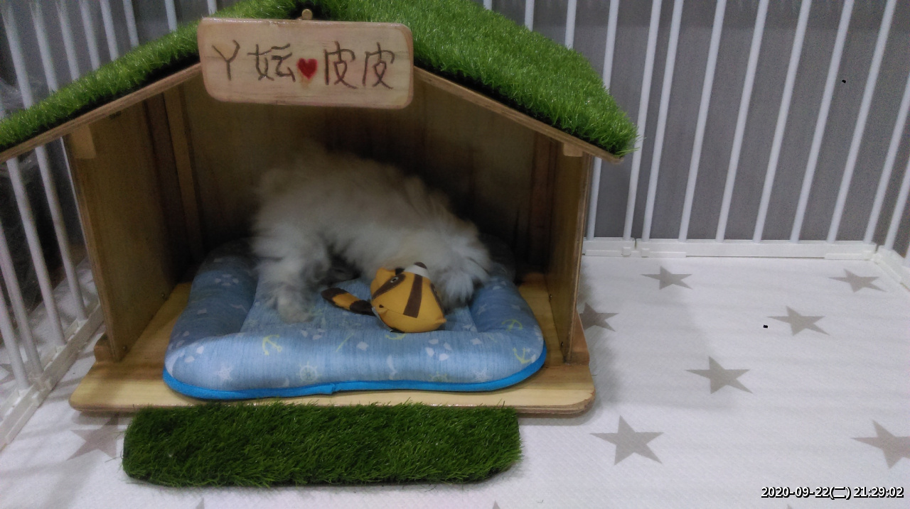 //3wa.tw/photo/small.php?w_size=1280&compassion=95&file_name=users/shadow/1600783923_4.jpg&noshow=1&height=400