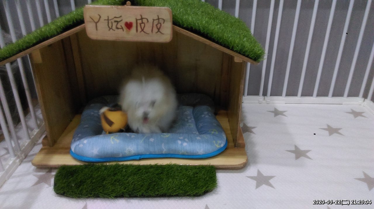 //3wa.tw/photo/small.php?w_size=1280&compassion=95&file_name=users/shadow/1600783923_5.jpg&noshow=1&height=400