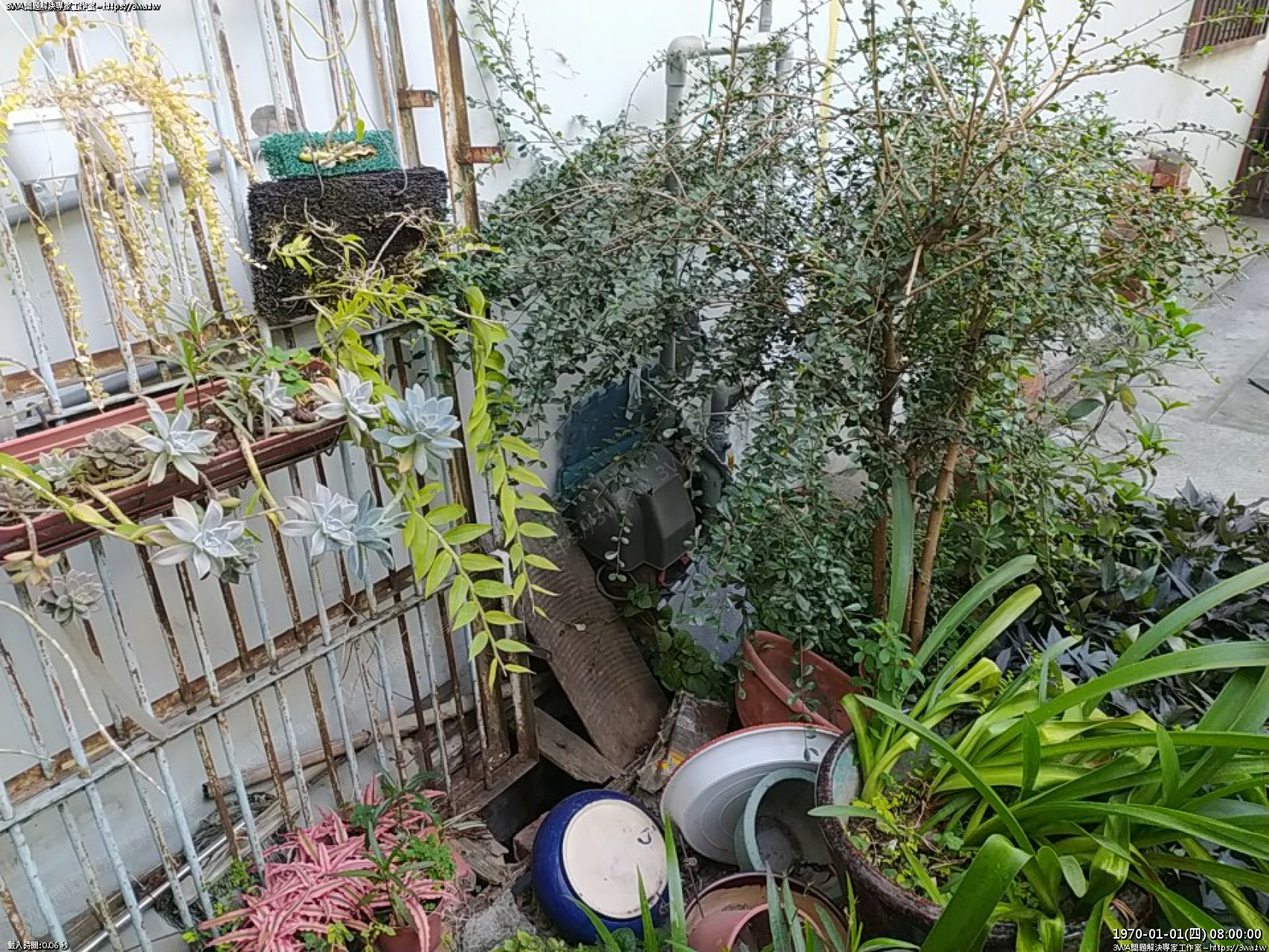 //3wa.tw/photo/small.php?w_size=1280&compassion=95&file_name=users/shadow/1674296618.jpg&rotate=90