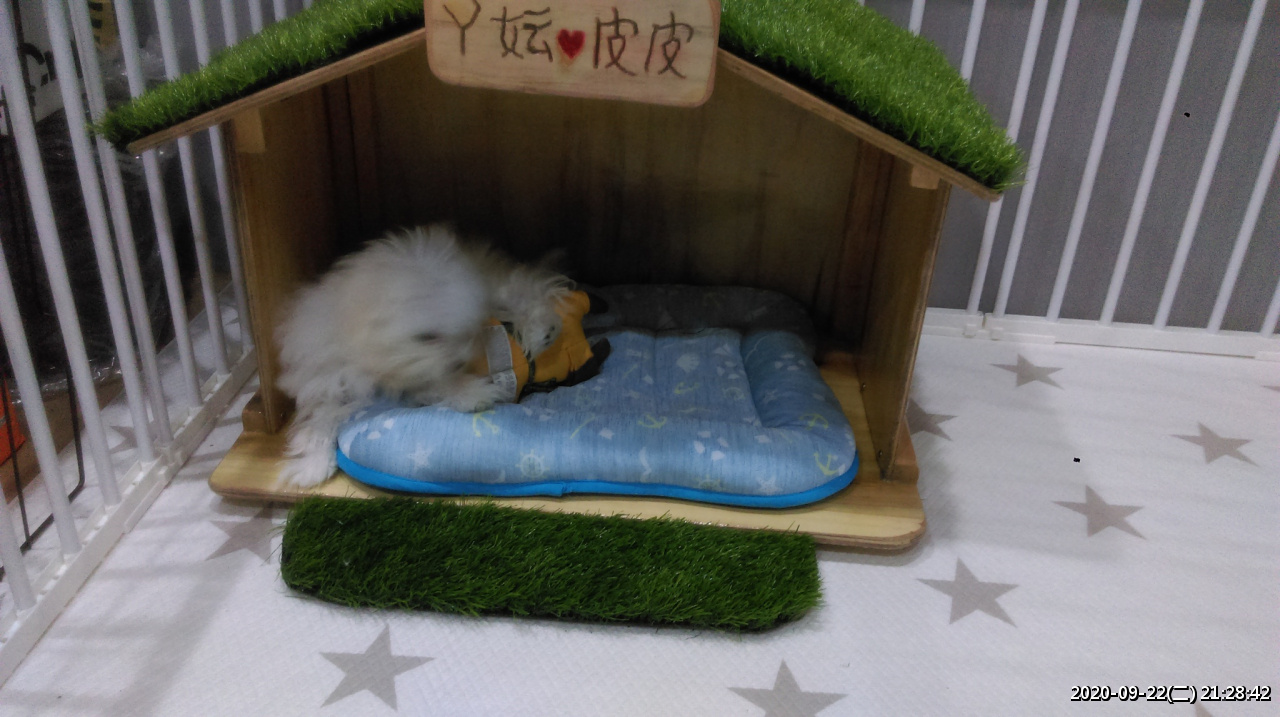 //3wa.tw/photo/small.php?w_size=1280&compassion=95&file_name=users/shadow/1600783919_1.jpg&noshow=1&height=400