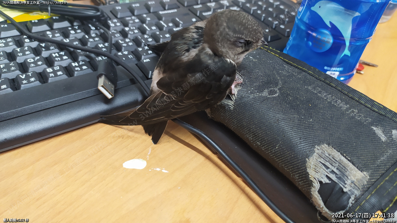 //3wa.tw/photo/small.php?w_size=1280&compassion=95&file_name=users/shadow/1624026997.jpg