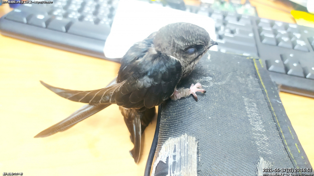 //3wa.tw/photo/small.php?w_size=1280&compassion=95&file_name=users/shadow/1624027002.jpg