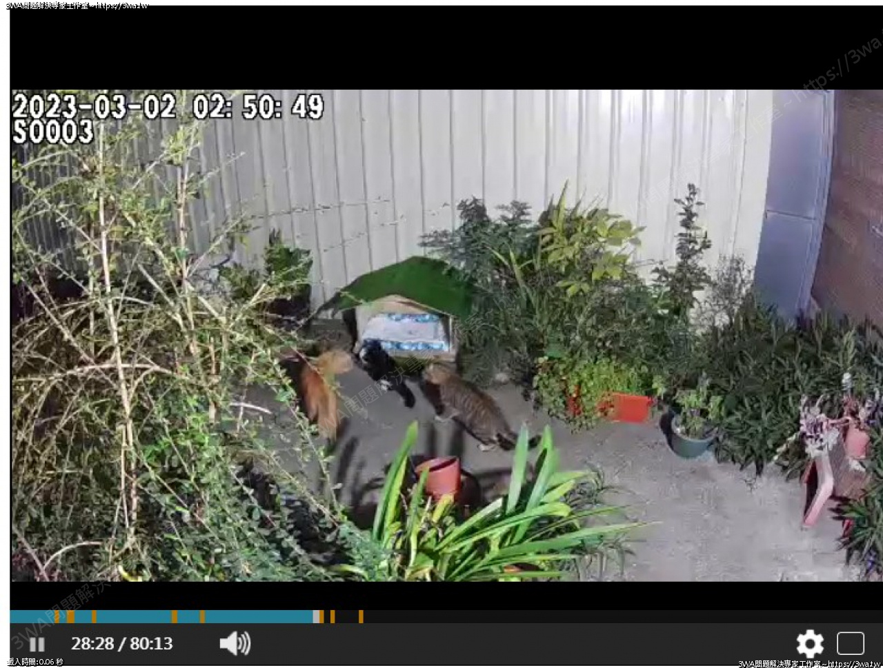 //3wa.tw/photo/small.php?w_size=1280&compassion=95&file_name=users/shadow/1680140564_1.png