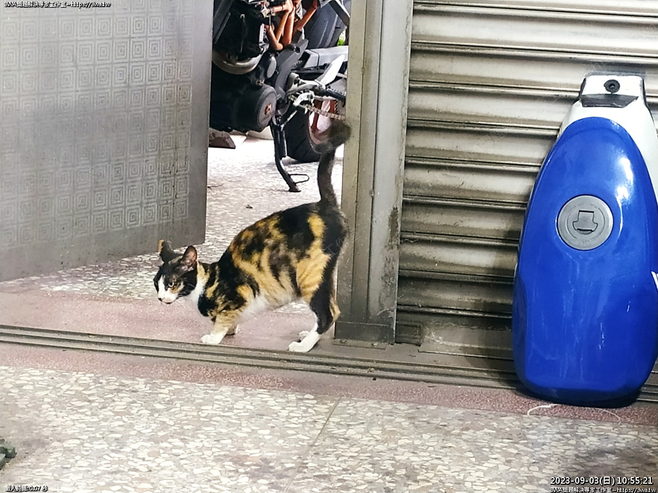 //3wa.tw/photo/small.php?w_size=1280&compassion=95&file_name=users/shadow/1693717393.jpg